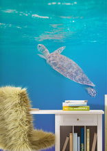 Carregar imagem no visualizador da galeria, Swimming Sea Turtle Coming Up for Air Wall Mural. Pastel Color Sea Life. Peel and Stick Wallpaper. #6406