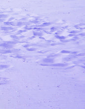 Carregar imagem no visualizador da galeria, Lifeguard Tower on Pensacola Beach Wall Mural. Pastel Color Theme Peel and Stick Wallpaper. #6415