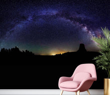 Carregar imagem no visualizador da galeria, Milky Way Galaxy Stars Wall Mural. Starry Night Over Devils Tower National Monument Park. #6416