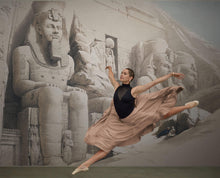 Load image into Gallery viewer, Ancient Egyptian Temple Wall Mural. The Great Temple of Aboo-Simble, Nubia by David Roberts. #6417