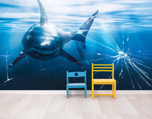 Carregar imagem no visualizador da galeria, Great White Shark Attack Aquarium Glass Wall Mural. Peel and Stick Wallpaper. #6424