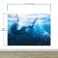 Carregar imagem no visualizador da galeria, Great White Shark Attack Aquarium Glass Wall Mural. Peel and Stick Wallpaper. #6424