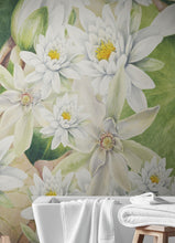 Load image into Gallery viewer, Botanical Flower Wall Mural. Color Pencil Artwork of Flower Garden Peel and Stick Wallpaper. Paradise Botanical Flowers and Leave Black Background. #6426