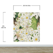 Load image into Gallery viewer, Botanical Flower Wall Mural. Color Pencil Artwork of Flower Garden Peel and Stick Wallpaper. Paradise Botanical Flowers and Leave Black Background. #6426