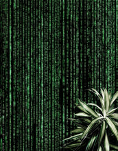 Carregar imagem no visualizador da galeria, Computer Matrix Style Lines of Code Wall Mural. Science Fiction Decor. #6430