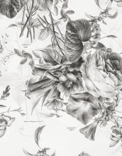 Carregar imagem no visualizador da galeria, Vintage Flower Pattern Illustration Wall Mural. Black and White Peel and Stick Wallpaper. #6443