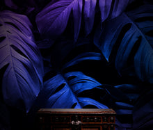 Carregar imagem no visualizador da galeria, Tropical Wallpaper Blue and Purple Leaf Wall Mural on Dark Background #6445