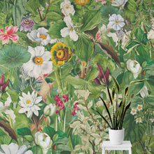 Load image into Gallery viewer, Botanical Vegetation Garden Wall Mural. Color Pencil Artwork of Flower Garden Peel and Stick Wallpaper. Rainforest Jungle Botanical Flowers and Leafs Background. #6449