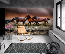 Load image into Gallery viewer, Wild Horses Galloping on Beach Wall Mural. Peel and Stick Wallpaper. #6458