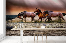 Load image into Gallery viewer, Wild Horses Galloping on Beach Wall Mural. Peel and Stick Wallpaper. #6458