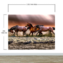 Load image into Gallery viewer, Wild Horses Galloping on Beach Wall Mural. Peel and Stick Wallpaper. #6458