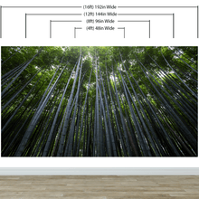 Load image into Gallery viewer, Tall Bamboo Tree Forest Wall Mural. Peaceful, Serenity, Zen Background Wallpaper. #6463