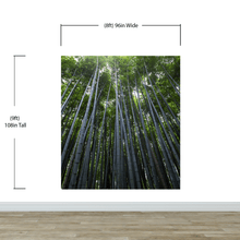 Load image into Gallery viewer, Tall Bamboo Tree Forest Wall Mural. Peaceful, Serenity, Zen Background Wallpaper. #6463