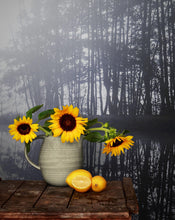 Carregar imagem no visualizador da galeria, Foggy Woodland Wall Mural. Warm Grey Misty Forest Lakeview Peel and Stick Wallpaper. #6474