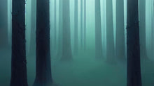 Carregar imagem no visualizador da galeria, Foggy Forest Wall Mural. Emerald Green Mist Wallpaper. #6476