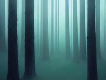 Carregar imagem no visualizador da galeria, Foggy Forest Wall Mural. Emerald Green Mist Wallpaper. #6476