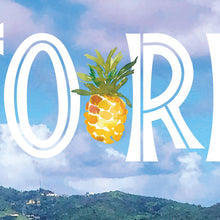 Carregar imagem no visualizador da galeria, Puerto Rico Beach Wallpaper. Peel and Stick Wall Mural. #6481