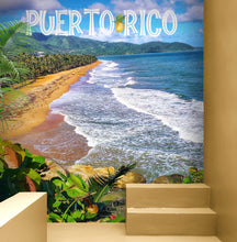 Carregar imagem no visualizador da galeria, Puerto Rico Beach Wallpaper. Peel and Stick Wall Mural. #6481
