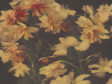 Carregar imagem no visualizador da galeria, Vintage Dark Background with Yellow Flowers Botanical Wallpaper. #6497