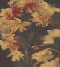 Carregar imagem no visualizador da galeria, Vintage Dark Background with Yellow Flowers Botanical Wallpaper. #6497