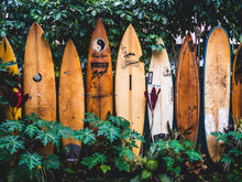 Load image into Gallery viewer, Surfboards Wall Mural. Peel and Stick Wallpaper. Summer Tropical Beach Theme Decor. #6509