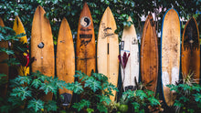 Load image into Gallery viewer, Surfboards Wall Mural. Peel and Stick Wallpaper. Summer Tropical Beach Theme Decor. #6509