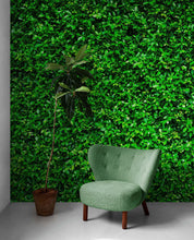 Carregar imagem no visualizador da galeria, Greenery Grass Background Wallpaper Mural. #6551