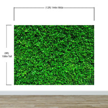 Carregar imagem no visualizador da galeria, Greenery Grass Background Wallpaper Mural. #6551