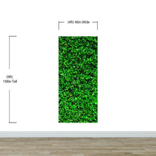 Carregar imagem no visualizador da galeria, Greenery Grass Background Wallpaper Mural. #6551