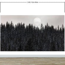 Carregar imagem no visualizador da galeria, Foggy Forest Wall Mural. Peel and Stick Wallpaper. Monotone Grey Nature Wallpaper. Rain Forest Wall Mural. #6560