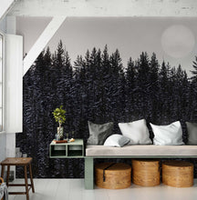 Carregar imagem no visualizador da galeria, Foggy Forest Wall Mural. Peel and Stick Wallpaper. Monotone Grey Nature Wallpaper. Rain Forest Wall Mural. #6560