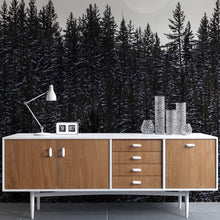 Carregar imagem no visualizador da galeria, Foggy Forest Wall Mural. Peel and Stick Wallpaper. Monotone Grey Nature Wallpaper. Rain Forest Wall Mural. #6560