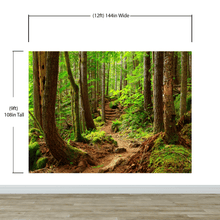 Carregar imagem no visualizador da galeria, Green Forest Woodland Wall Mural – Nature's Embrace Peel and Stick Wallpaper #6647