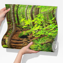 Carregar imagem no visualizador da galeria, Green Forest Woodland Wall Mural – Nature's Embrace Peel and Stick Wallpaper #6647