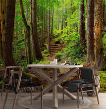 Carregar imagem no visualizador da galeria, Green Forest Woodland Wall Mural – Nature's Embrace Peel and Stick Wallpaper #6647