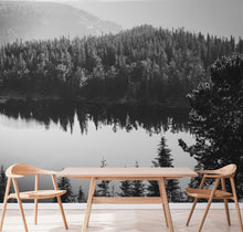 Carregar imagem no visualizador da galeria, Black and White Mountain Over Looking Lake and Forest Wallpaper. #6671
