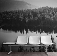 Carregar imagem no visualizador da galeria, Black and White Mountain Over Looking Lake and Forest Wallpaper. #6671