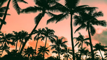 Carregar imagem no visualizador da galeria, Sunset Wallpaper Mural. Palm Trees Tropical Vibe. #6871