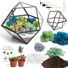 Carregar imagem no visualizador da galeria, 7” Geometric Black Glass Succulent Terrarium Kit