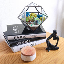 Carregar imagem no visualizador da galeria, 7” Geometric Black Glass Succulent Terrarium Kit