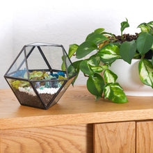 Carregar imagem no visualizador da galeria, 7” Geometric Black Glass Succulent Terrarium Kit