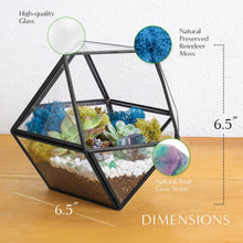 Carregar imagem no visualizador da galeria, 7” Geometric Black Glass Succulent Terrarium Kit