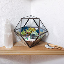 Carregar imagem no visualizador da galeria, 7” Geometric Black Glass Succulent Terrarium Kit