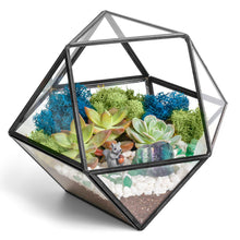 Carregar imagem no visualizador da galeria, 7” Geometric Black Glass Succulent Terrarium Kit