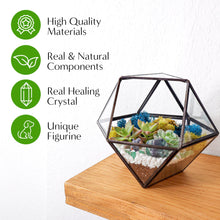 Carregar imagem no visualizador da galeria, 7” Geometric Black Glass Succulent Terrarium Kit