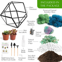 Carregar imagem no visualizador da galeria, 7” Geometric Black Glass Succulent Terrarium Kit