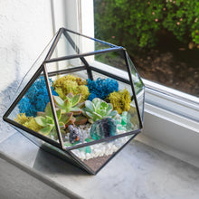 Carregar imagem no visualizador da galeria, 7” Geometric Black Glass Succulent Terrarium Kit
