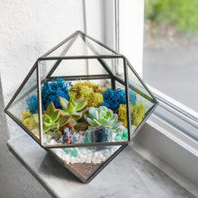 Carregar imagem no visualizador da galeria, 7” Geometric Black Glass Succulent Terrarium Kit
