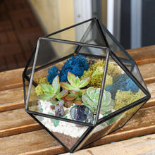 Carregar imagem no visualizador da galeria, 7” Geometric Black Glass Succulent Terrarium Kit