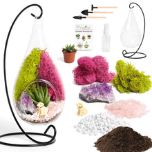 Carregar imagem no visualizador da galeria, 7" Glass Tear Drop Succulent Terrarium Kit